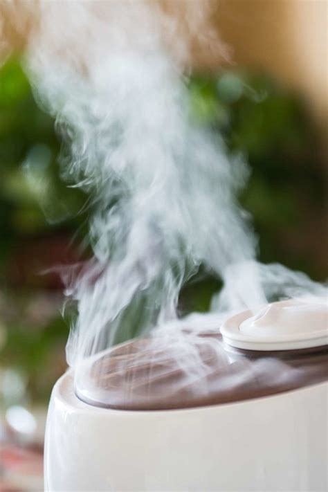 5 humidifier uses: Benefits and risks .